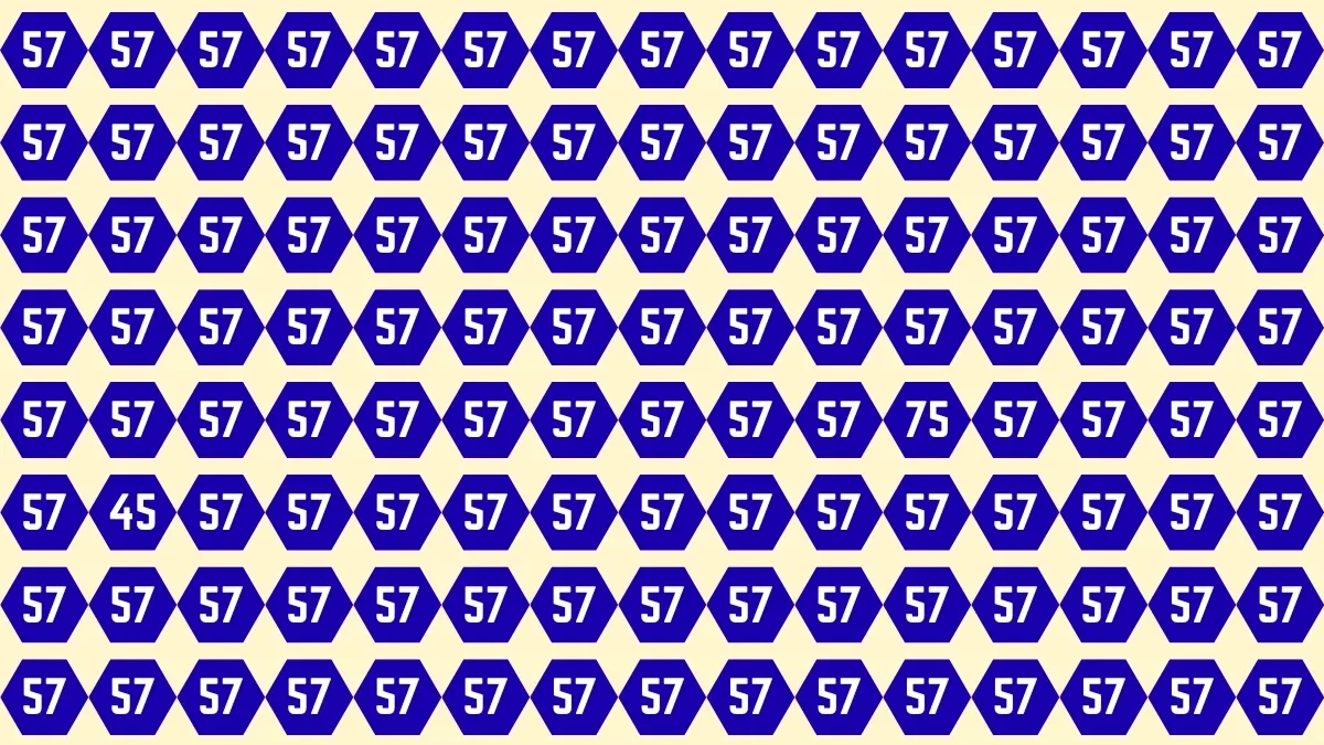 optical-number-challenge-spot-45-75