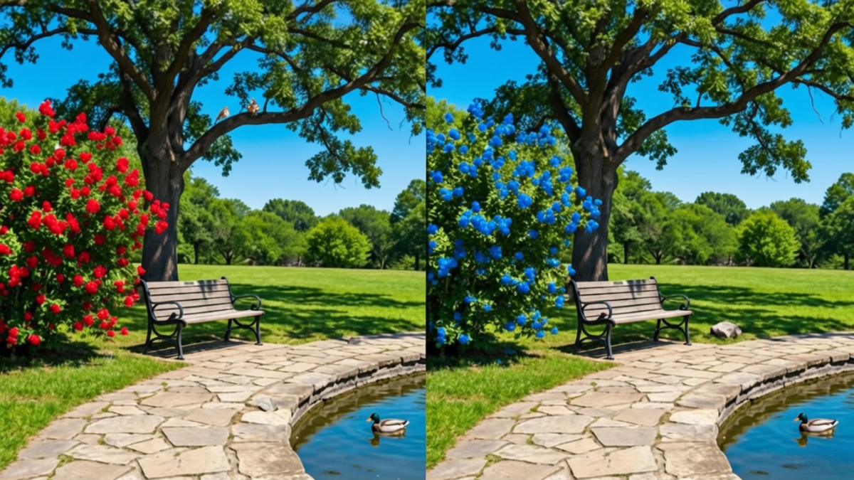 park image puzzle, find 3 differences