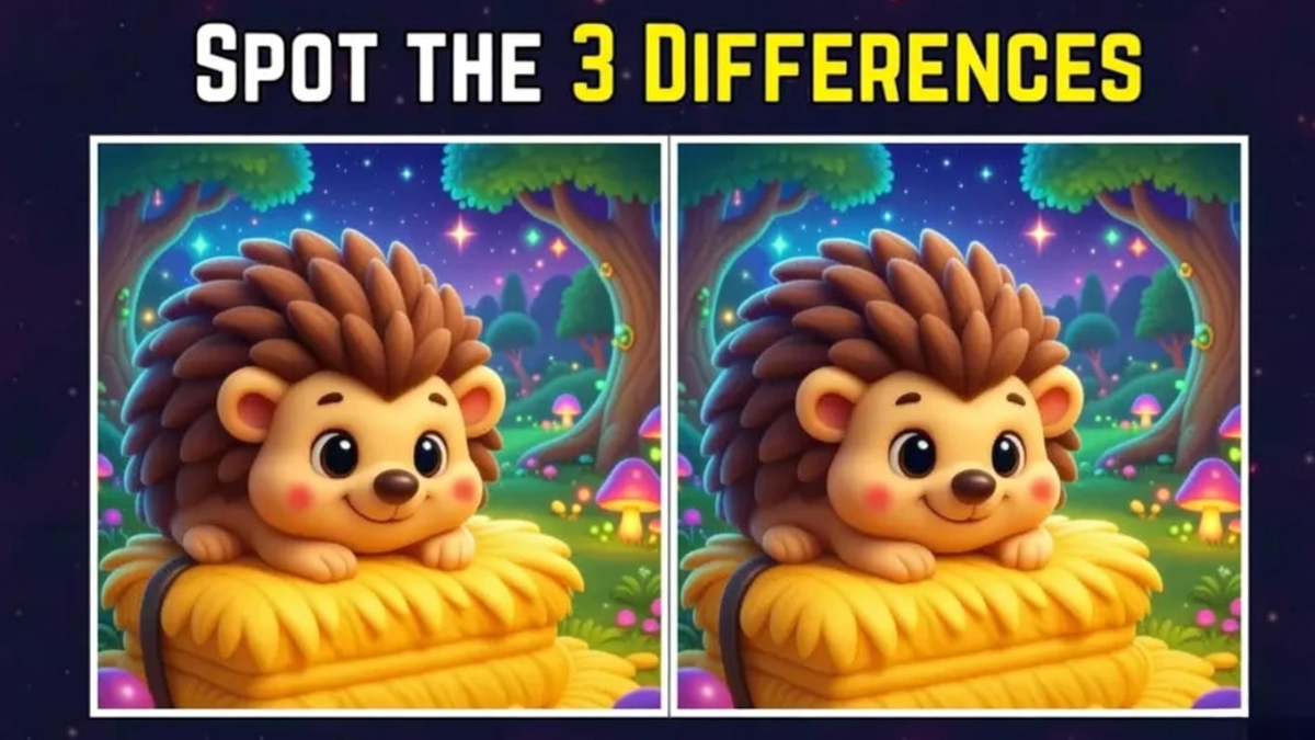 optical illusion puzzle