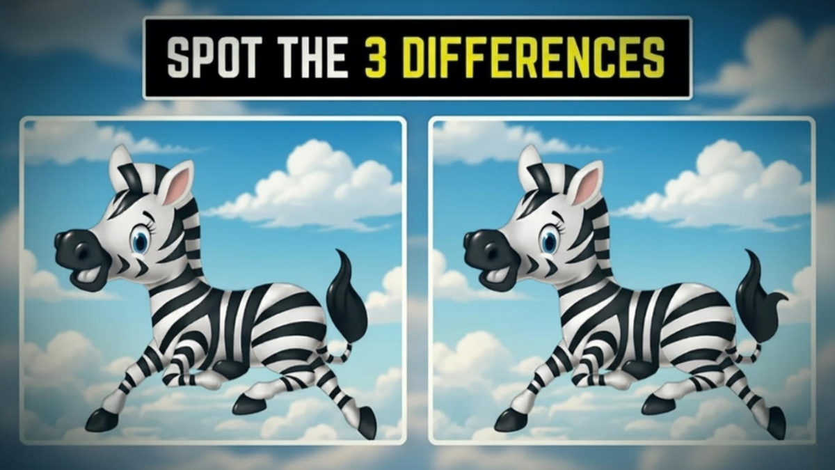 zebra picture puzzle