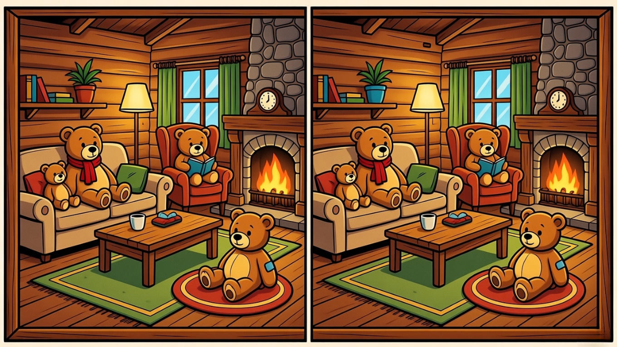 bear puzzle observation test, find 3 differences image