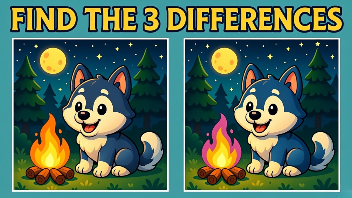 Only the Sharpest Eyes Can Win This 15-Second Cat Puzzle