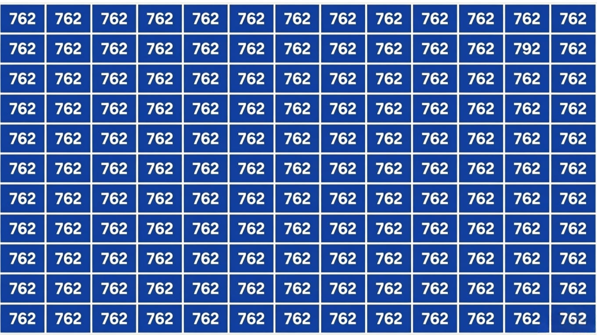 6 second observation challenge, hidden 792 puzzle