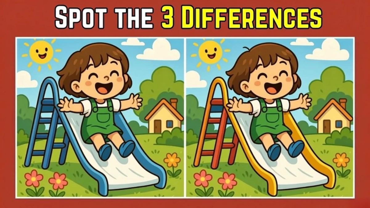 Observation Challenge