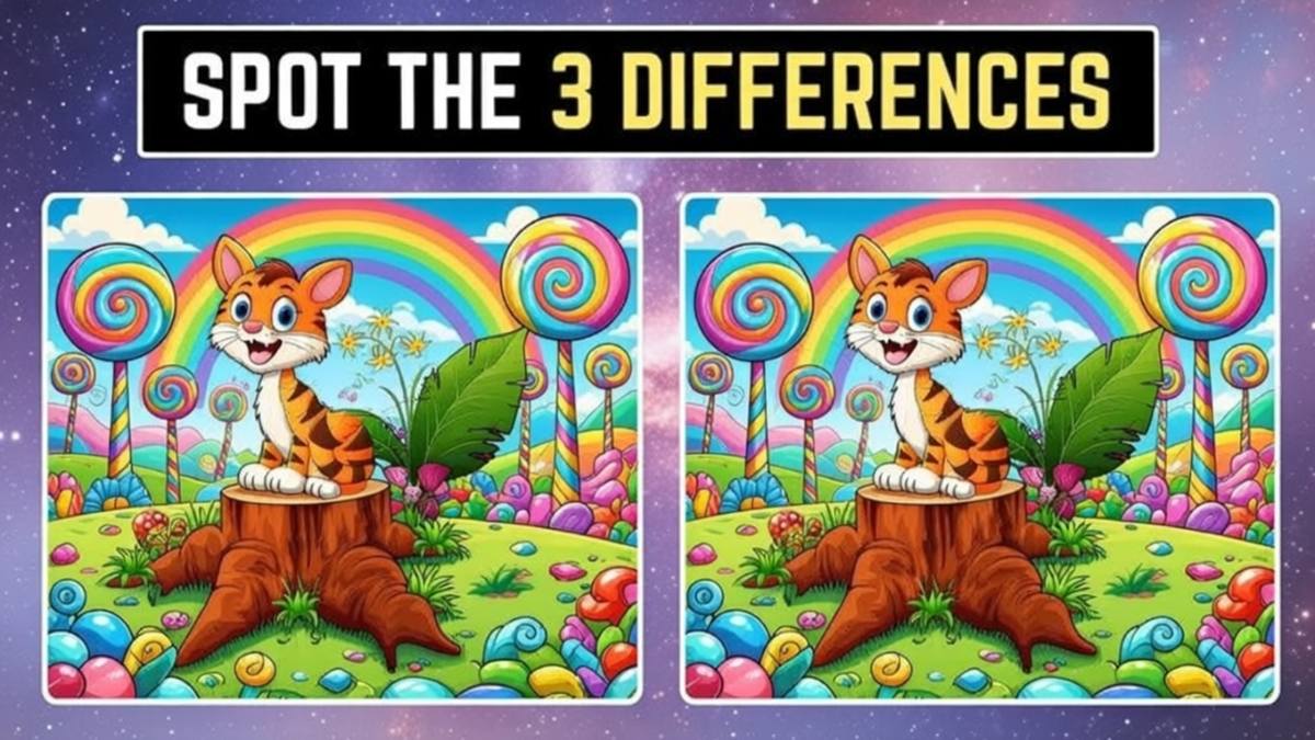 spot the difference cat