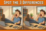 office puzzle differences